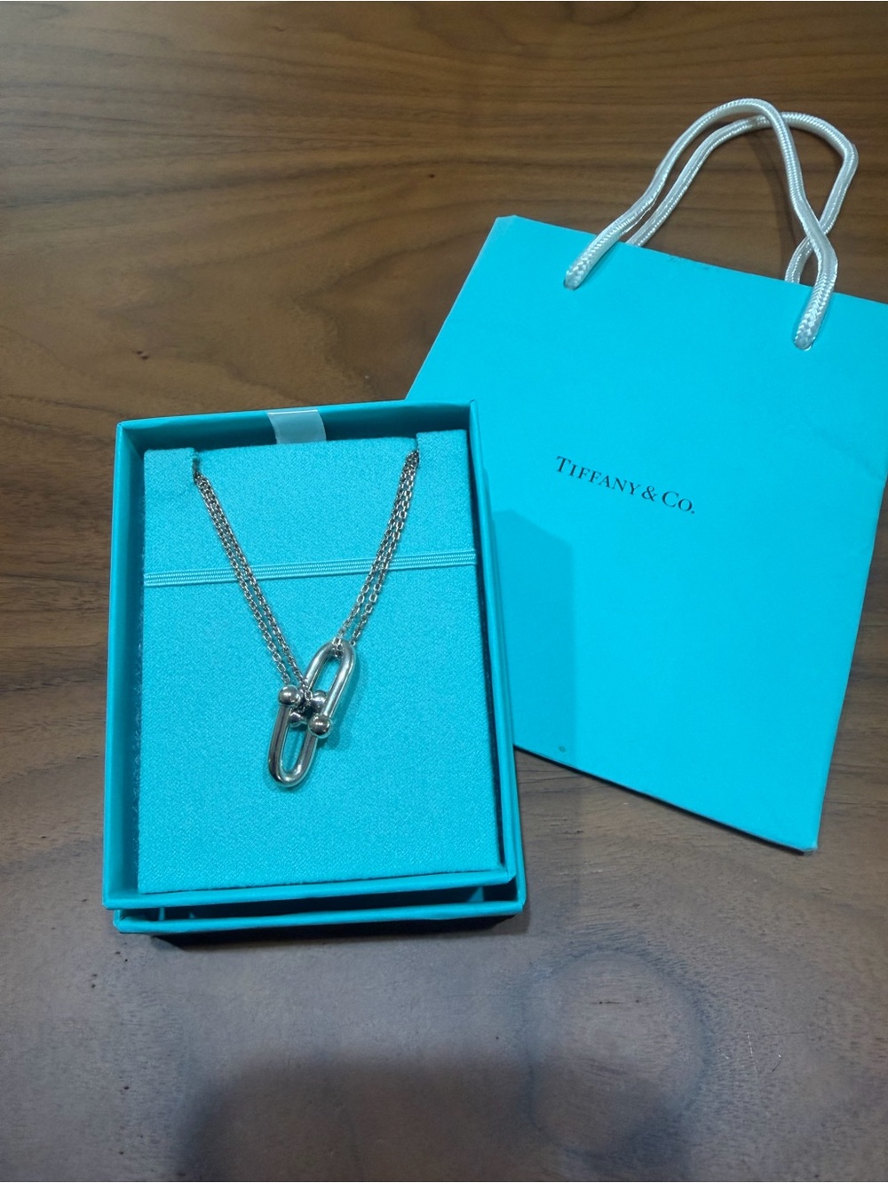 Tiffany & Co. Silver Double-Link Necklace with Blue Presentation